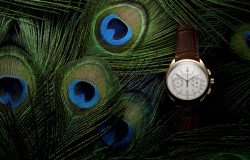 Montre-Patek-Philippe