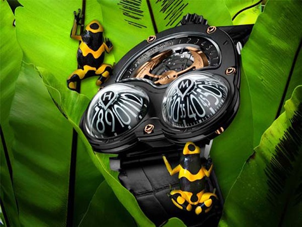 HM3 Poison Dart Frog