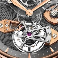 Cage de tourbillon Arnold & Son TES Tourbillon