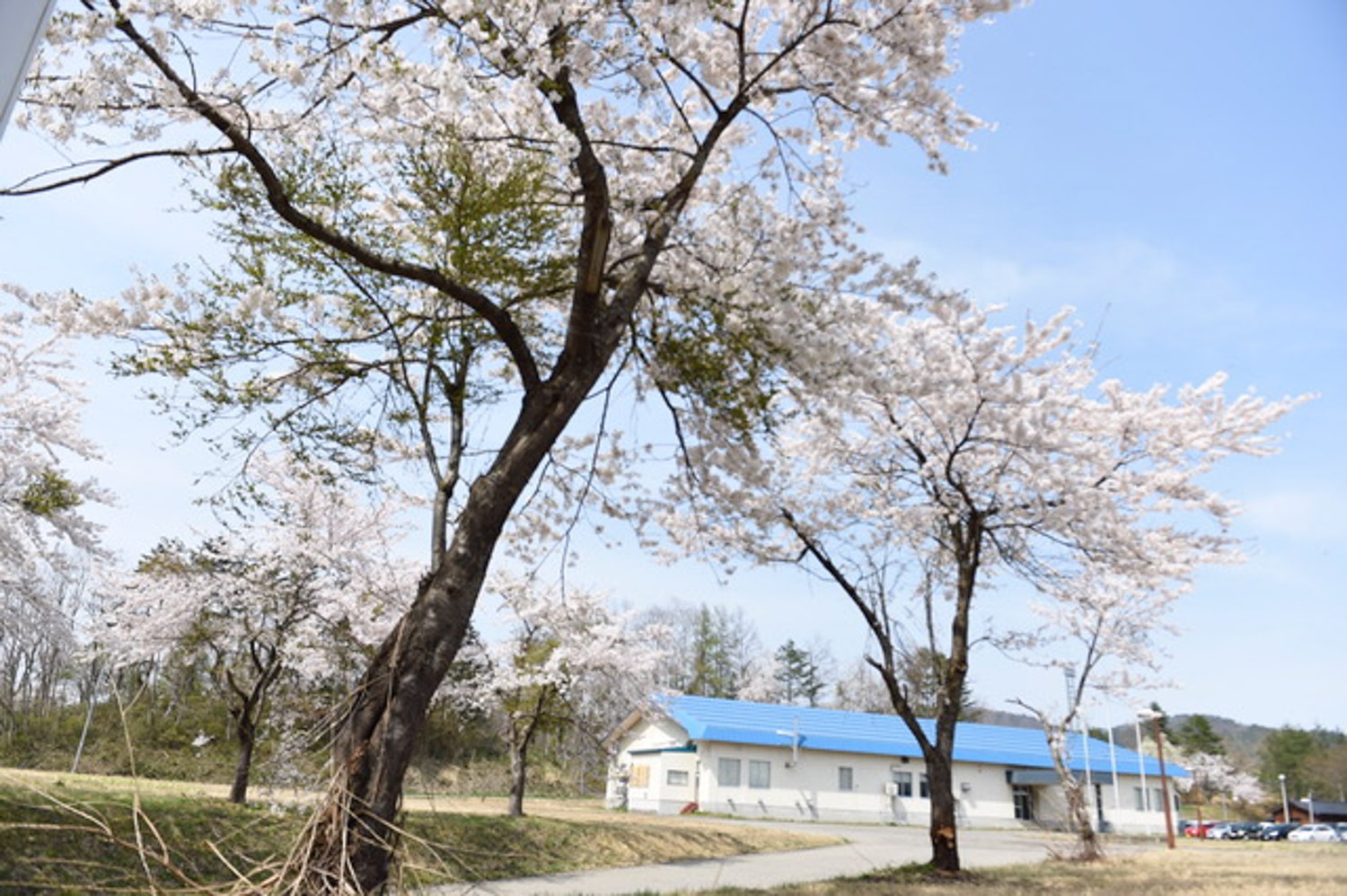 Minase Watches - Akita, Japan