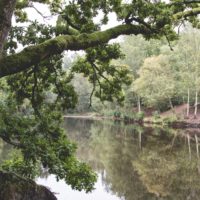 Road Trip #1 : voyage au bout de la Terre - Forêt de Paimpont, Val sans retour.