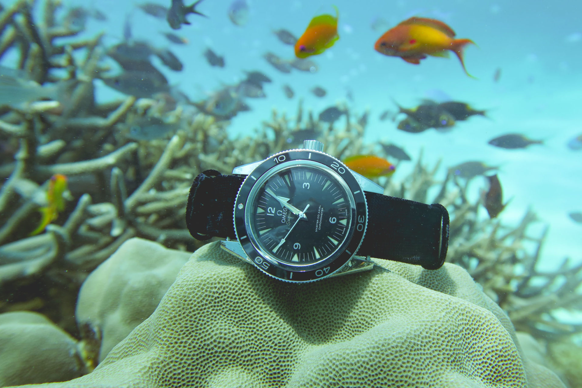 Omega Seamaster 300 Co-Axial