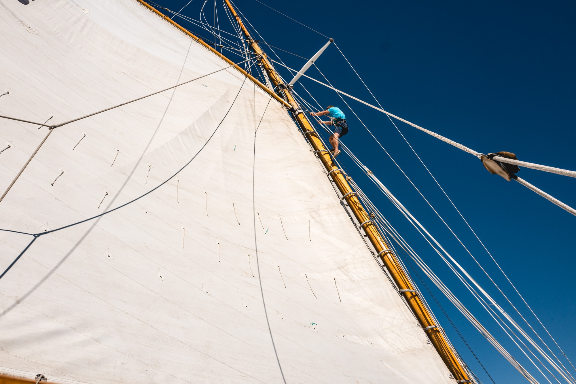 NAN of Fife - Voiles Classiques