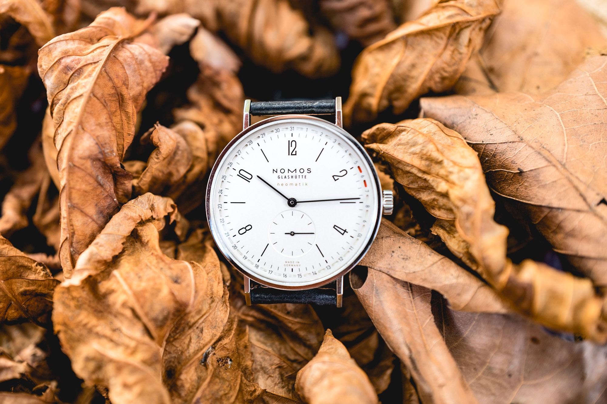 Nomos Tangente Update - 41mm