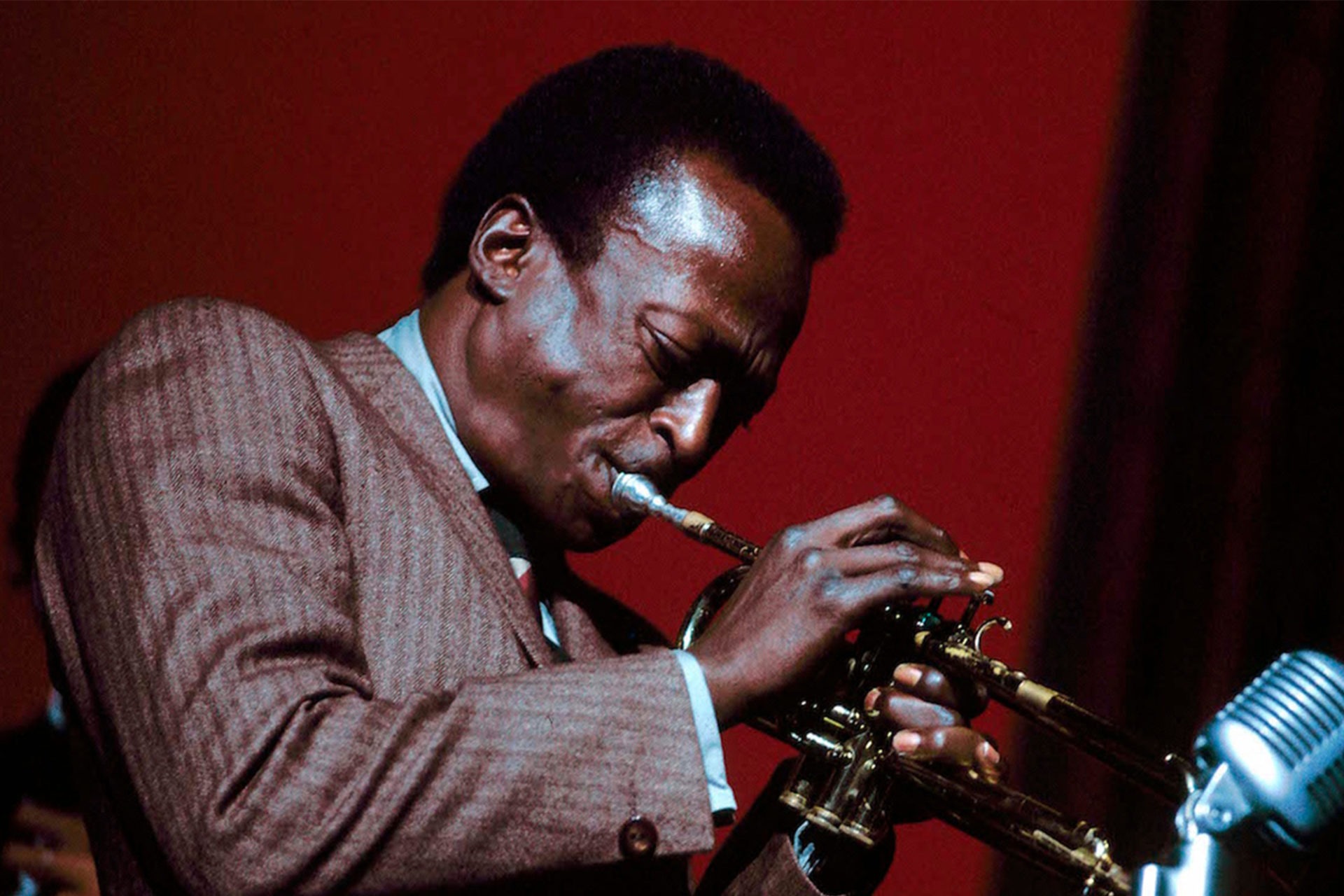 Miles Davis - Crédits David Redfern