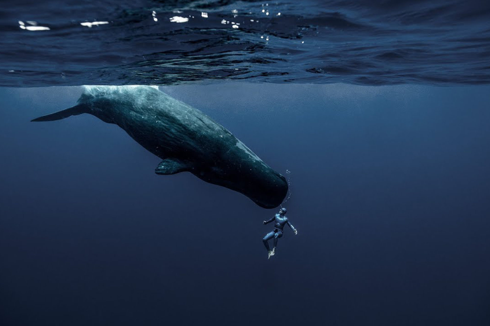 Guillaume Nery - One Breath Around The World