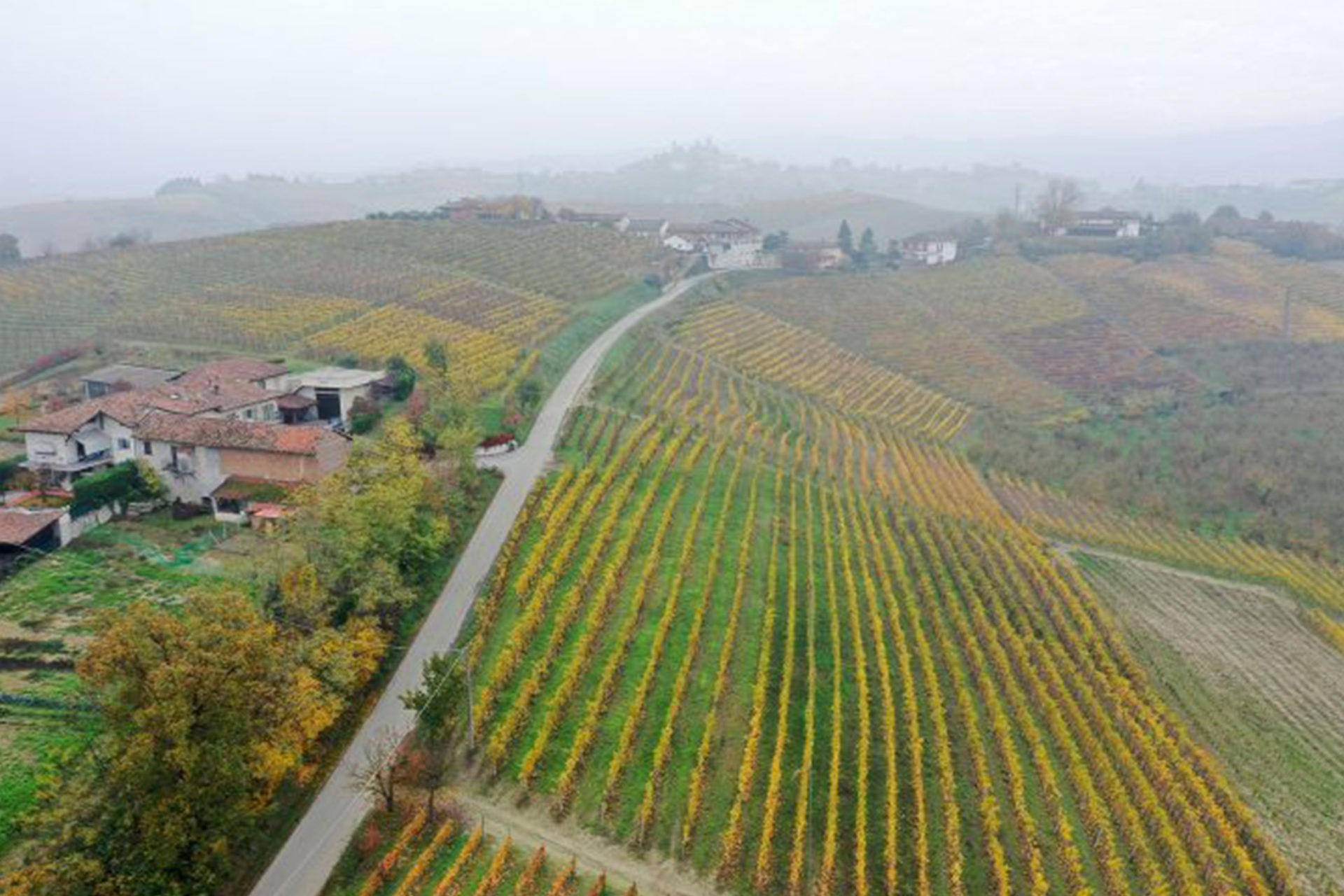 Barbaresco Piero Busso - Automne