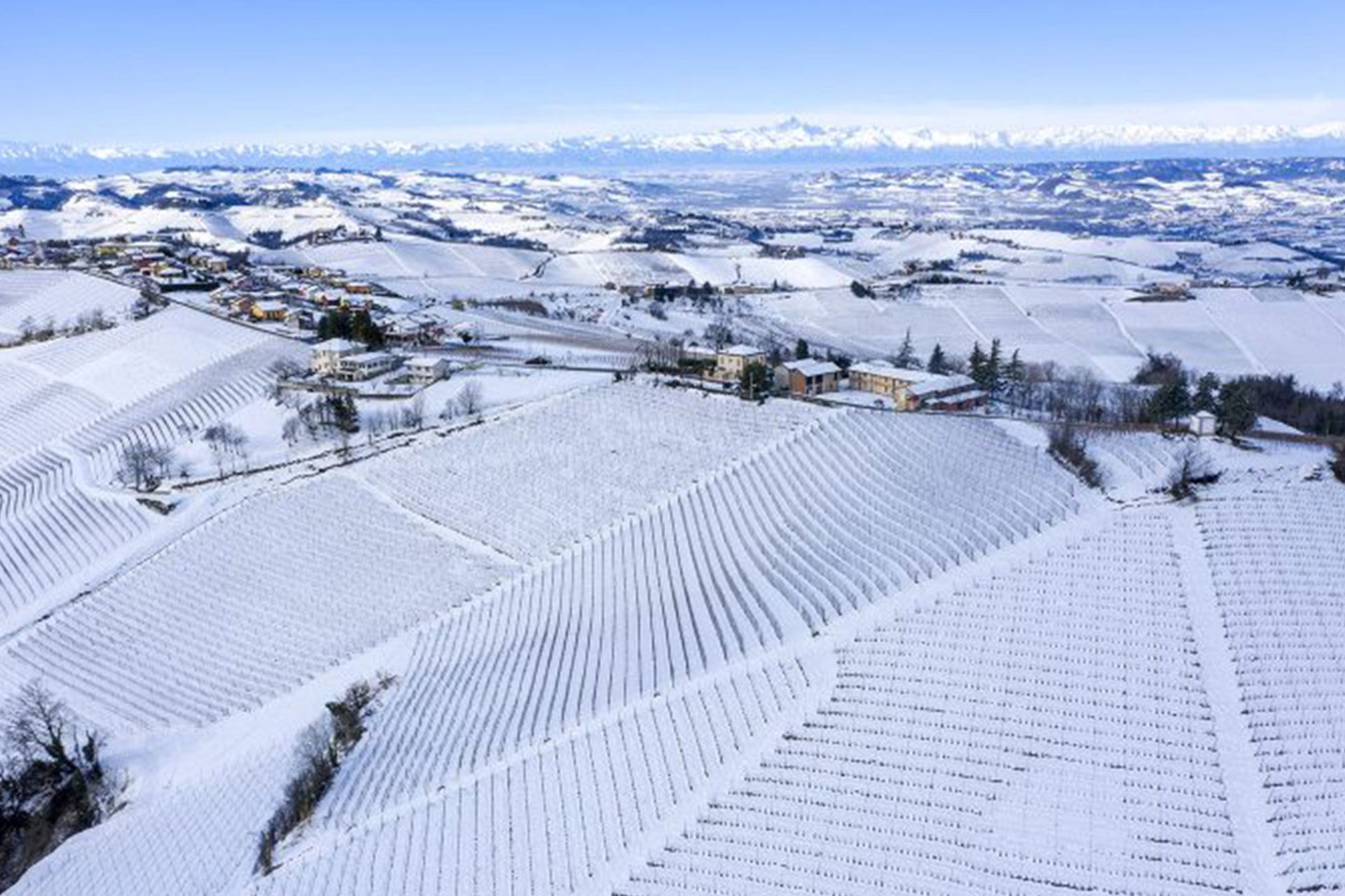 Barbaresco Piero Busso - Hiver