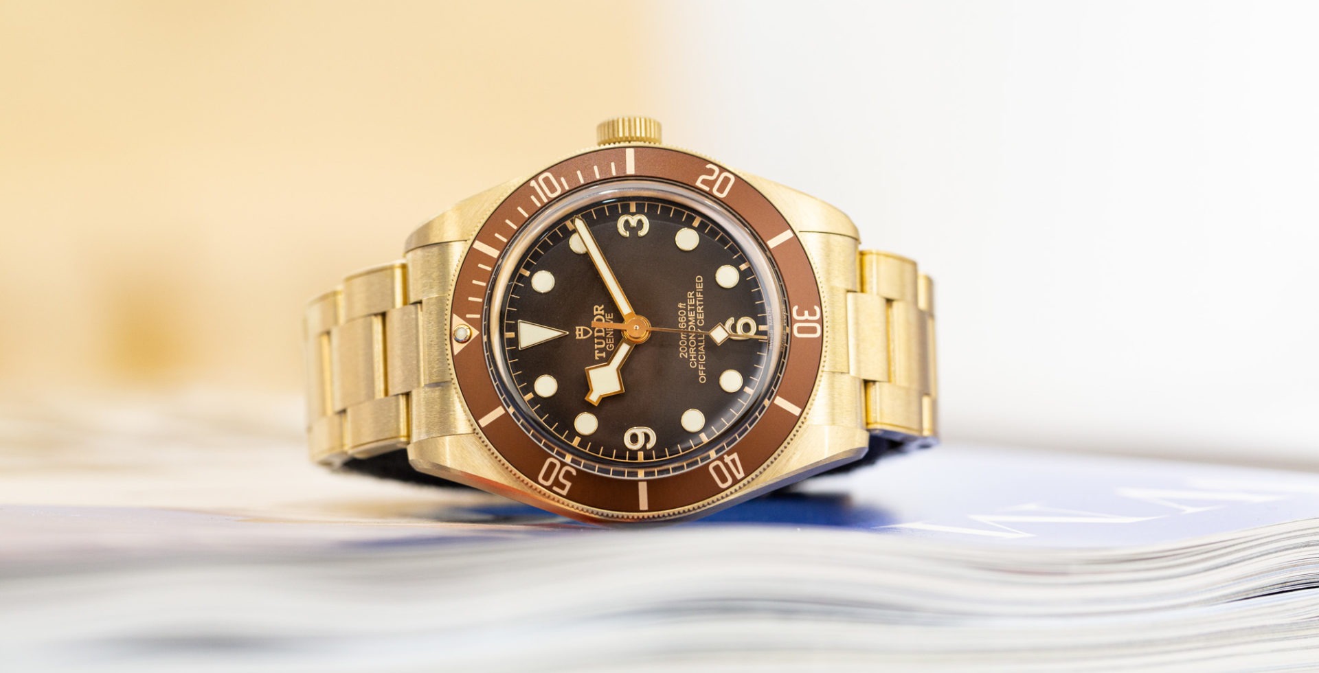 TUDOR BLACK BAY 58 Bronze boutique edition