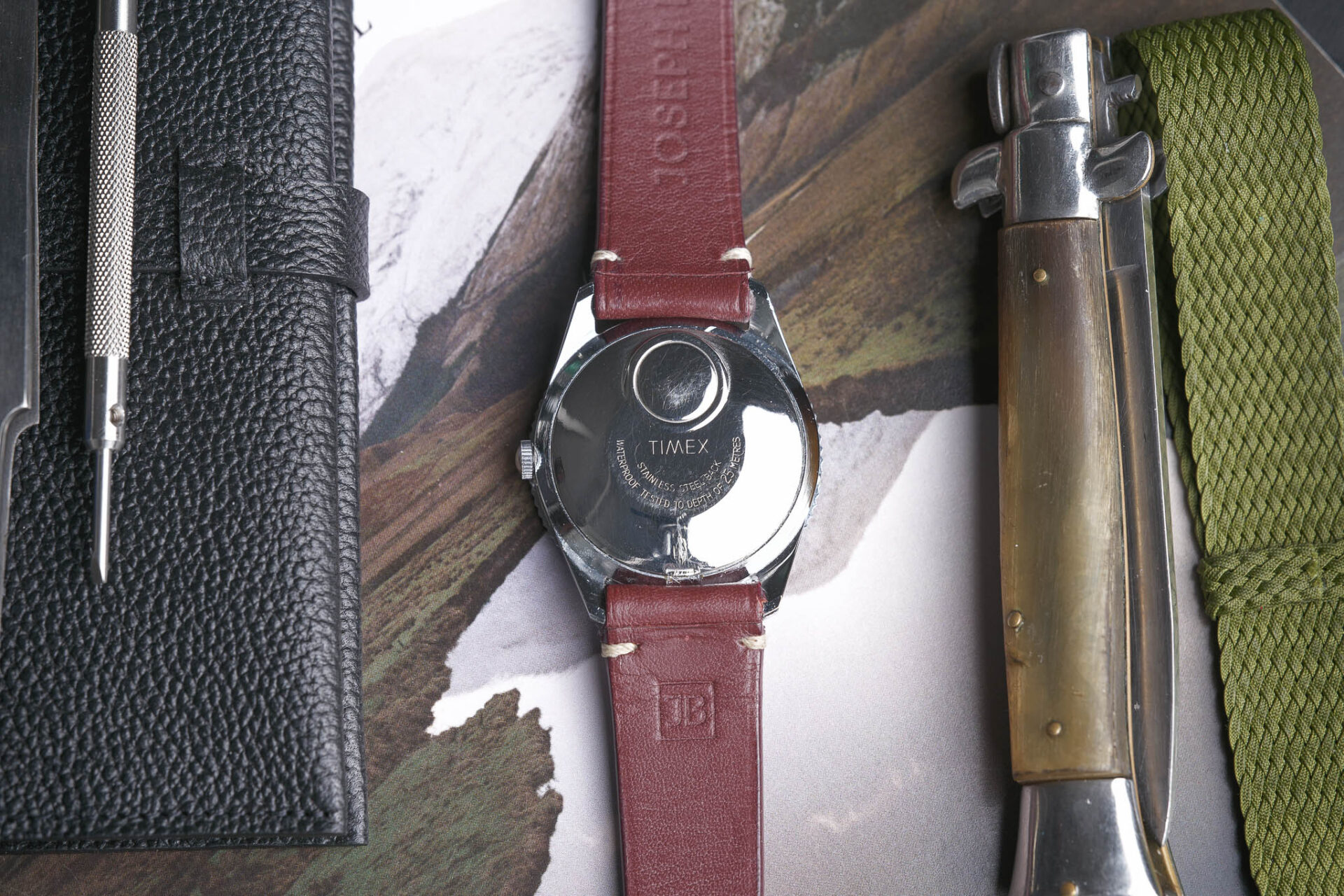 Timex Elvia - Sélection de montres vintage et de collection JOSEPH BONNIE